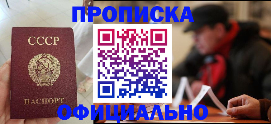временная регистрация для школы в Московской области